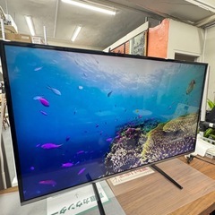 USED 液晶テレビ Panasonic 2015年 49Vの画像