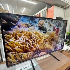 USED 液晶テレビ Panasonic 2015年 49Vの画像