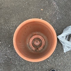 植木鉢の画像