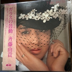 レコード　多数の画像