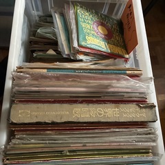 レコード　多数の画像