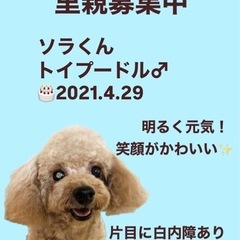 ソラくん☆里親募集中