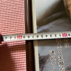柴犬の額の画像