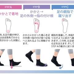 サポートソックス(足袋型) 22-25cm 男女兼用の画像