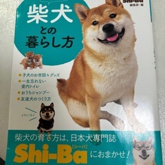 芝犬との暮らし方　他の画像