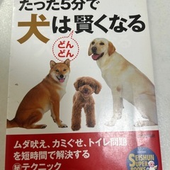 芝犬との暮らし方　他の画像