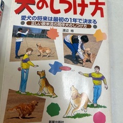 芝犬との暮らし方　他の画像