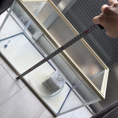水槽の画像