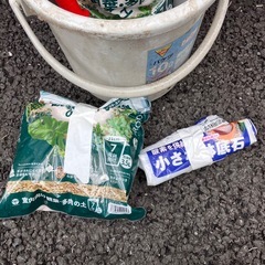 無料　ガーデンニングとバケツセットの画像