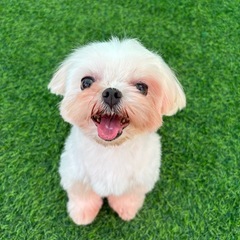 控えめ甘えん坊なおっとりさん！