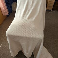 ベッドスプレッドと毛布の画像
