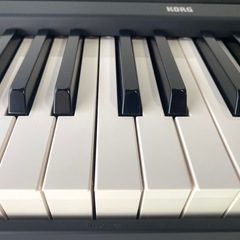 使用感なくきれい！KORG  B2 の画像