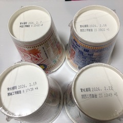 カップヌードルBIG 　4種類の画像