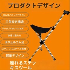 折りたたみ ステッキチェア 軽量の画像