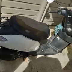 原付バイクレッツの画像