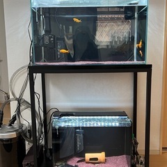 水槽の画像