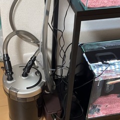 水槽の画像