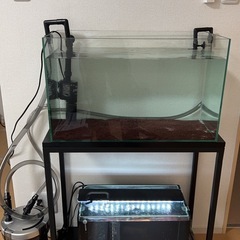 水槽の画像