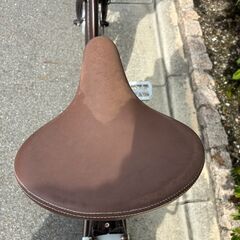 🌟電動アシスト自転車🌟21Technology ‼️シマノ3段変速　20インチ　DA203の画像