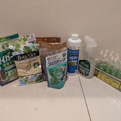 観葉植物と肥料セットの画像