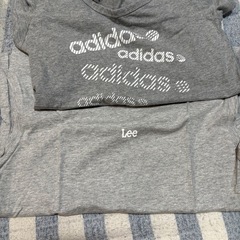 レディース　服　11点まとめて　Mサイズ
の画像