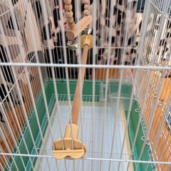 取引予定者決定しましたの画像