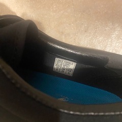 VANS ヴァンズ ERA エラ V95CF H/SHIELD M.BLACKの画像