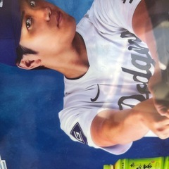 大谷翔平クリアファイルの画像