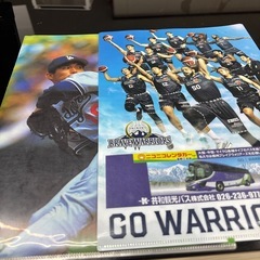 クリアファイルいろいろの画像