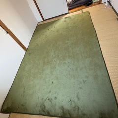 新品カーペット緑色の画像