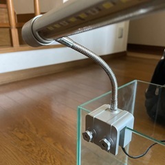 水槽　飼育セットの画像