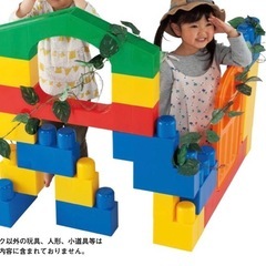 全身ブロック　2セットの画像