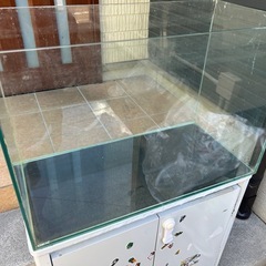gexガラス水槽　横60縦40奥30　台付　の画像