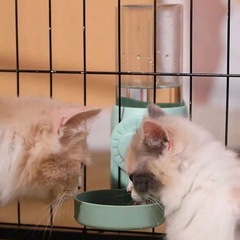 お取引予定者決定しましたの画像