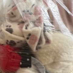 服とバッグ無料の画像