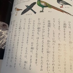 科学のアルバム　103冊の画像