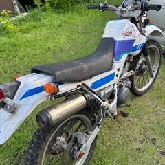 セロー225 実働セル1 山遊び用でいかがですか？の画像
