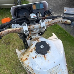 セロー225 実働セル1 山遊び用でいかがですか？の画像