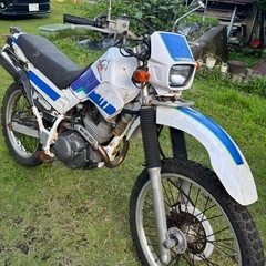 セロー225 実働セル1 山遊び用でいかがですか？の画像