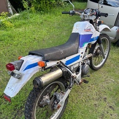 セロー225 実働セル1 山遊び用でいかがですか？の画像