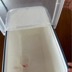 米びつ 12kgの画像