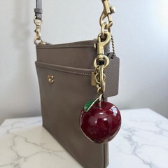 COACH コーチ バッグチャーム スモールアップル キーホルダー ストラップの画像