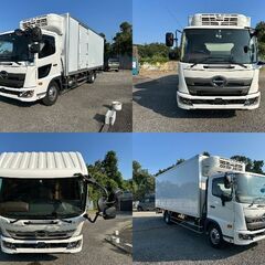HINO 冷蔵冷凍車 ワンオーナー 記録簿付 マイナス30度 パワーゲート付の画像