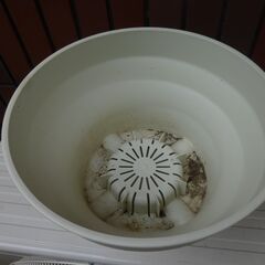 植木鉢　大型　2個の画像