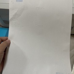 EPSON PX-S505プリンターの画像