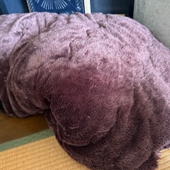 こたつ&上掛けの画像