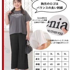 しまむら aimee que トップス 4L  未使用の画像