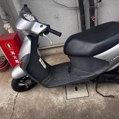 Suzuki の画像