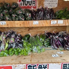 朝取立て　野菜の画像