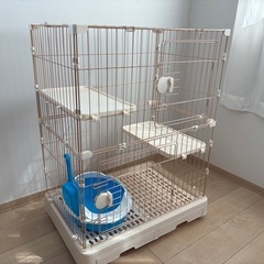猫用ゲージ（おまけ付き
）の画像